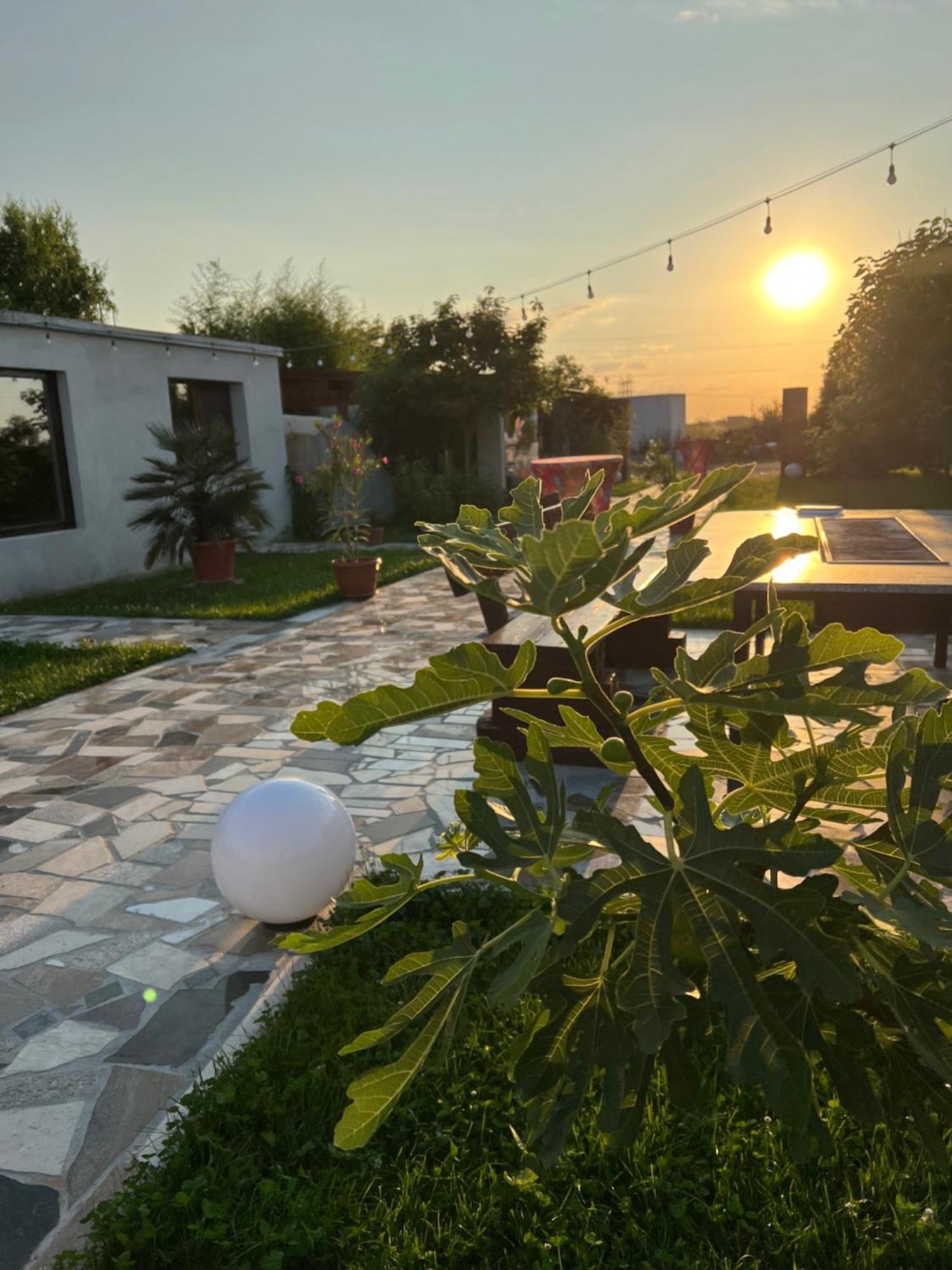 La Casa Blanca Daire Vladimirescu Dış mekan fotoğraf