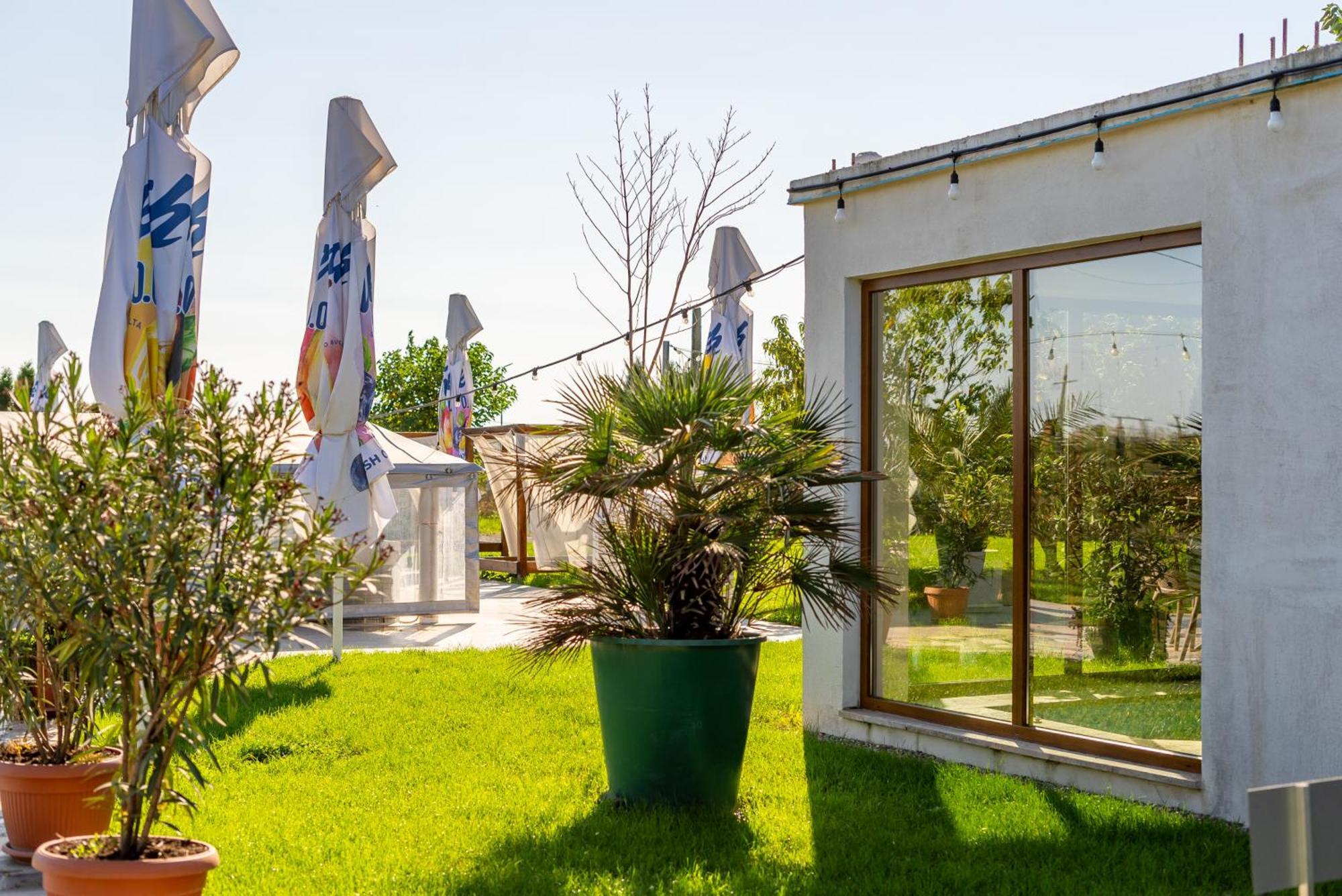 La Casa Blanca Daire Vladimirescu Dış mekan fotoğraf